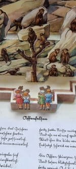 Fechner, Ellen. Im Zoo. – Bild 7