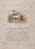 Schmidt, Friedrich von (Hrsg.). König Wilhelm von Württemberg in seinen ländlichen Beschäftigungen. – Bild 3