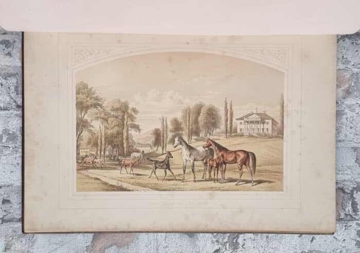 Schmidt, Friedrich von (Hrsg.). König Wilhelm von Württemberg in seinen ländlichen Beschäftigungen. – Bild 4