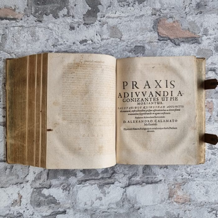 Calamato, Alessandro. Nova Sylva Conceptuum Fundatorum In Autoritate Sacrae Scripturae, Et SS. Patrum, Et Aliorum Gravissimorum Ecclesiae Doctorum. – Bild 12