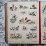 Bilderbuch - Quodlibet. – Bild 6