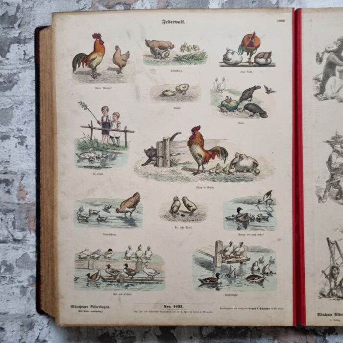Bilderbuch - Quodlibet. – Bild 6