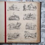 Bilderbuch - Quodlibet. – Bild 12