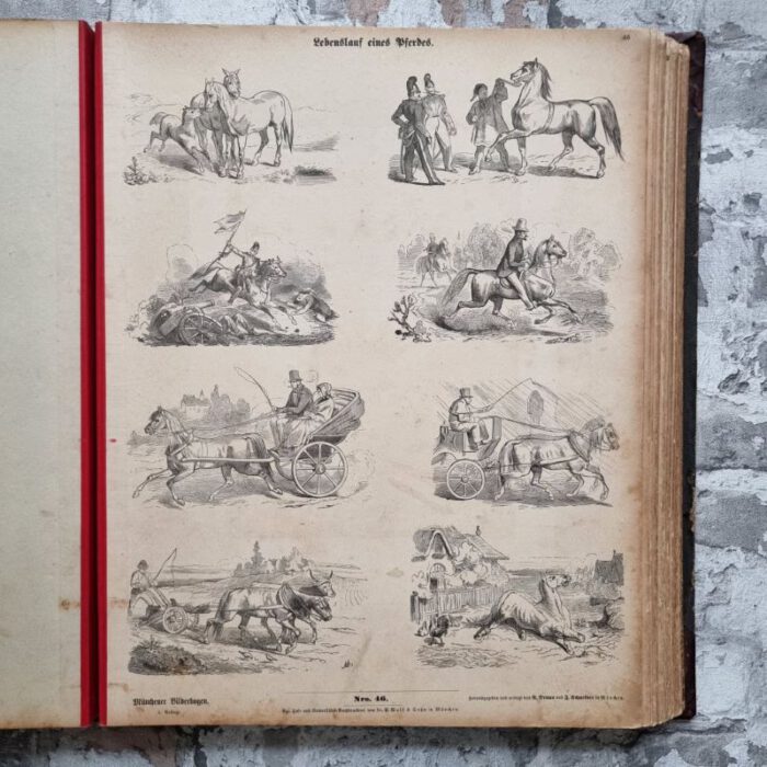 Bilderbuch - Quodlibet. – Bild 12