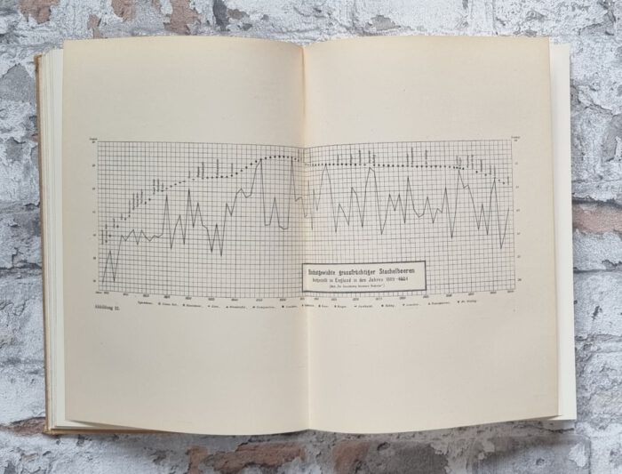 Maurer, Louis. Maurer's Stachelbeerbuch über die besten und verbreitetsten Stachelbeersorten. – Bild 6