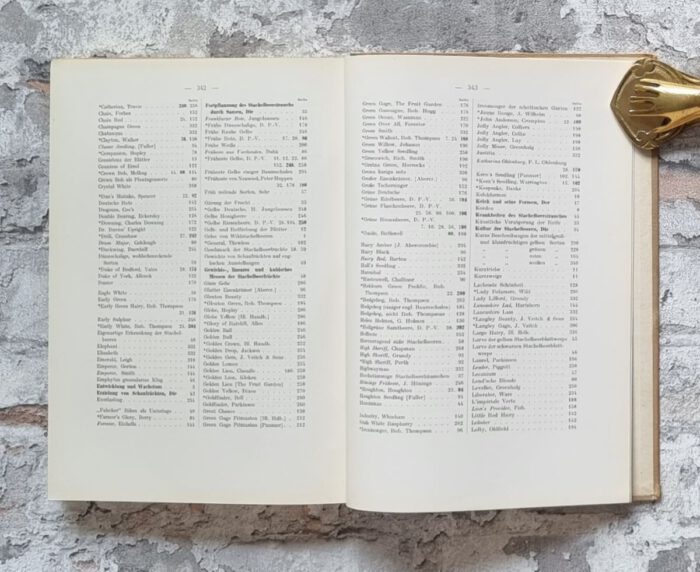 Maurer, Louis. Maurer's Stachelbeerbuch über die besten und verbreitetsten Stachelbeersorten. – Bild 8