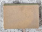 Maurer, Louis. Maurer's Stachelbeerbuch über die besten und verbreitetsten Stachelbeersorten. – Bild 9