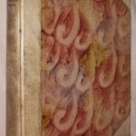 Sorber, Johann Jakob. Commentatio de comitiis veterum Germanorum antiquis ex historia monimentis diplomatibus et scriptoribus fide dignis eruta, qua conventuum qualitas et forma tum ante Caroli M. aevum tum sub illius et priorum successorum regimine demonstratur. [ANGEBUNDEN, Zweiter Teil]: Commentatio de comitiis veterum Germanorum antiquis ex historia monimentis diplomatibus et scriptoribus fide dignis eruta qua conventuum origo qualitas et forma tum ante Caroli M. aevum tum subillius et priorum successorum regimine adnexo usu hodierno demonstratur.