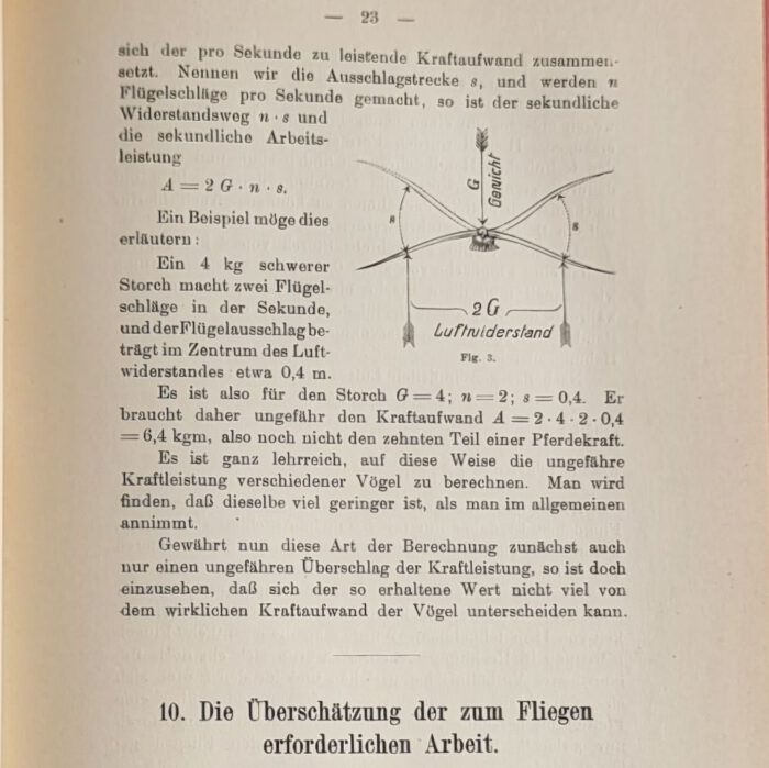 Lilienthal, Otto. Der Vogelflug als Grundlage der Fliegekunst. – Bild 3