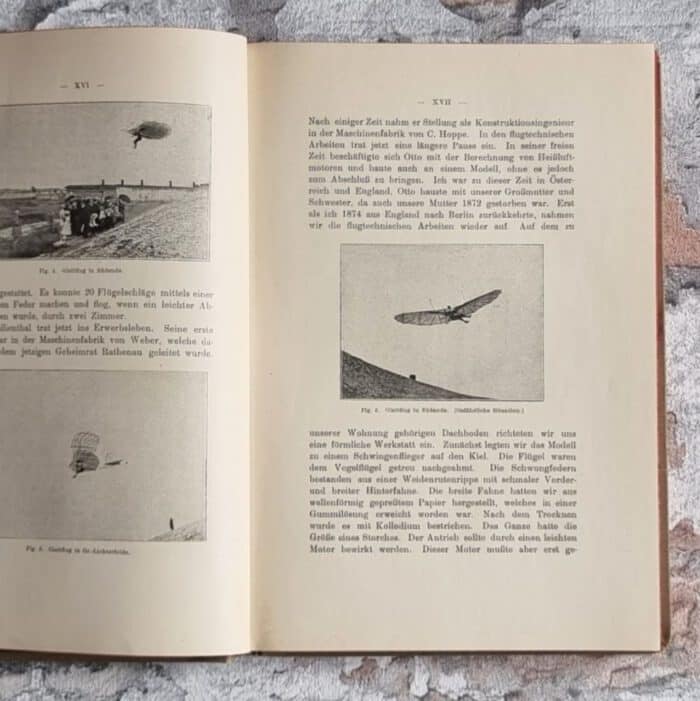 Lilienthal, Otto. Der Vogelflug als Grundlage der Fliegekunst. – Bild 7