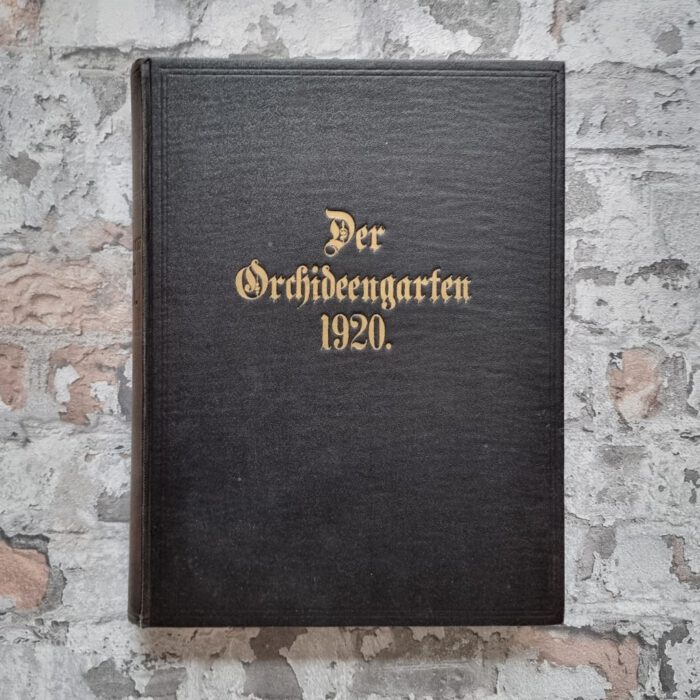 Strobl, Karl Hans (Hrsg.) und Czibulka, Alf von (Schriftleiter). Orchideengarten. Phantastische Blätter. 2. Jahrgang 1920. – Bild 2