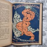 Strobl, Karl Hans (Hrsg.) und Czibulka, Alf von (Schriftleiter). Orchideengarten. Phantastische Blätter. 2. Jahrgang 1920. – Bild 10