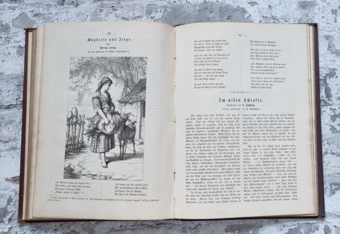 Lohmeyer, Julius (Hrsg.). Deutsche Jugend. Vierter und Fünfter Band. – Bild 7