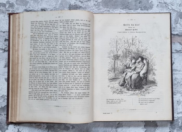 Lohmeyer, Julius (Hrsg.). Deutsche Jugend. Vierter und Fünfter Band. – Bild 8