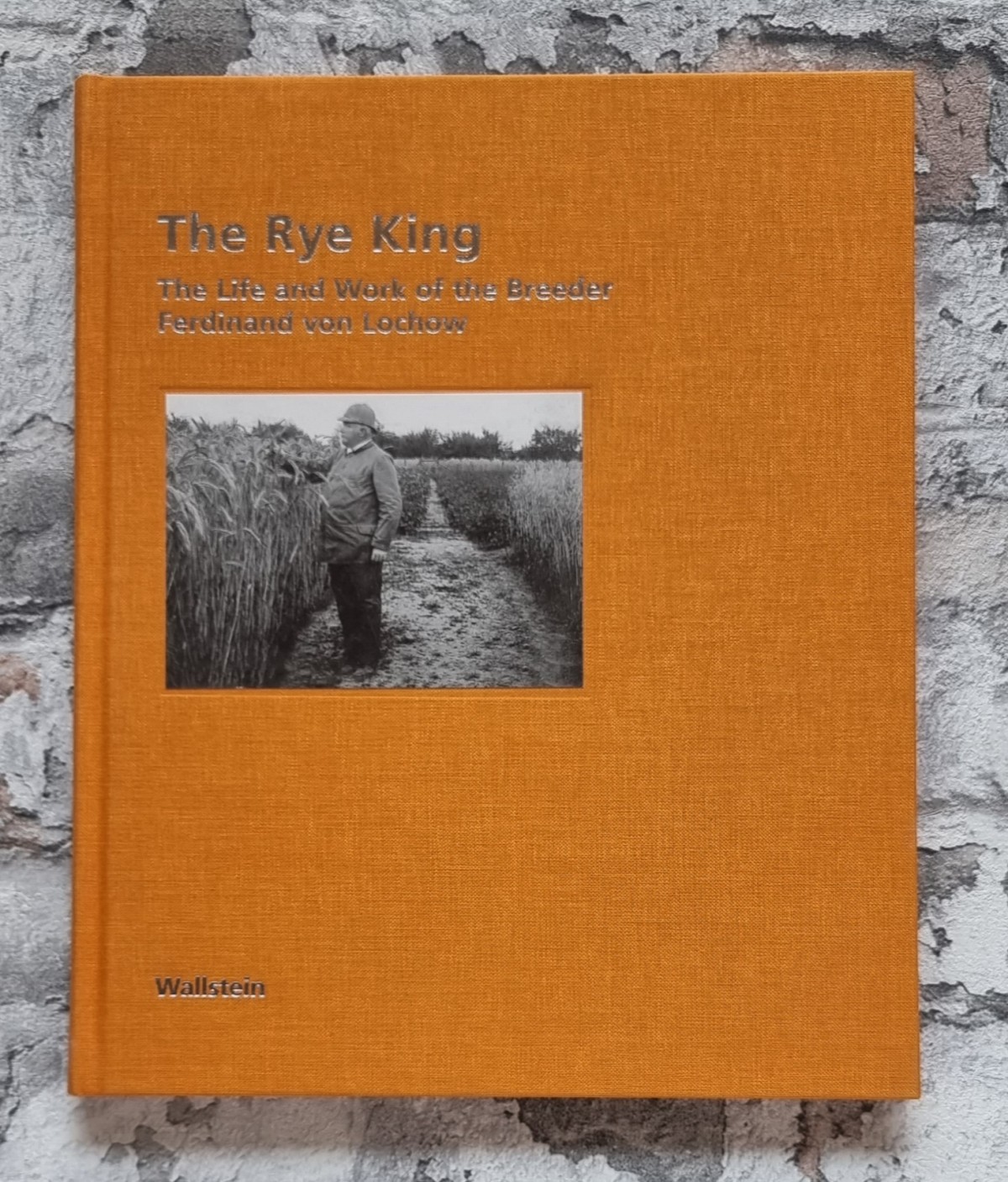 33903-001-meißner-broock-rye-king-einband Meißner, Betina und Reinhard von Broock. The Rye King. – Bild 1