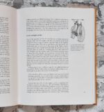 Meißner, Betina und Reinhard von Broock. The Rye King. – Bild 5