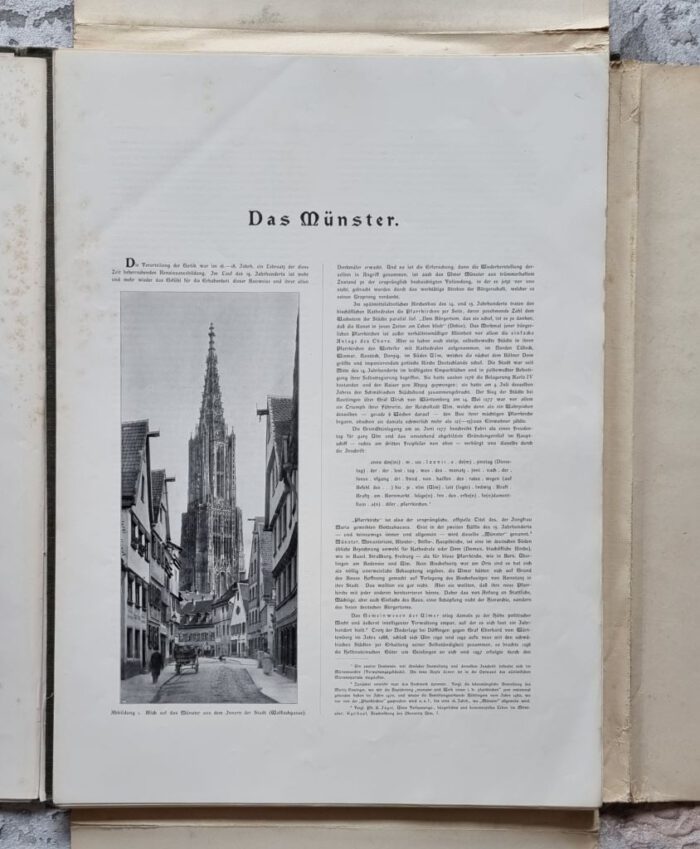 Pfleiderer, Rudolf. Das Münster zu Ulm und seine Kunstdenkmale. – Bild 8