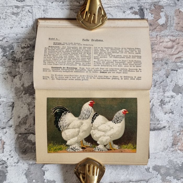 Kramer, Rudolf. Kramers Taschenbuch der Rassegeflügelzucht – Bild 6
