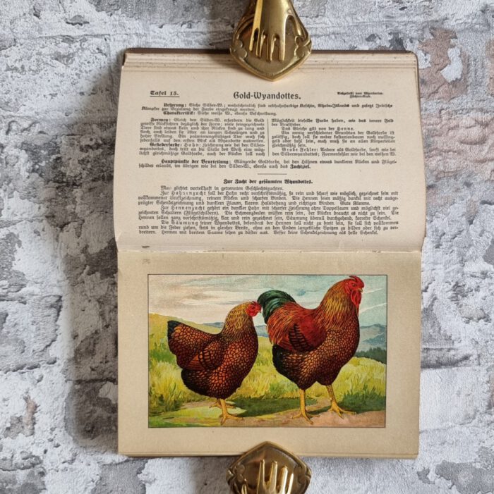 Kramer, Rudolf. Kramers Taschenbuch der Rassegeflügelzucht – Bild 1