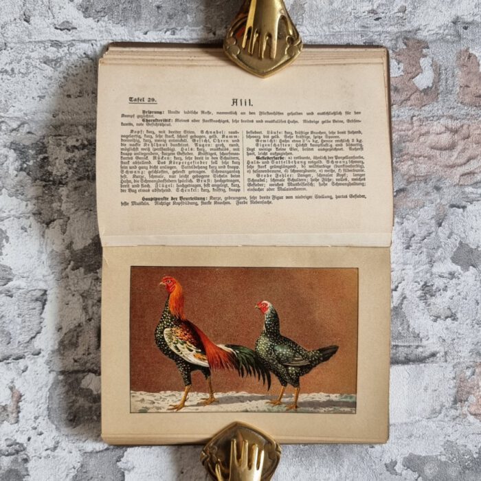 Kramer, Rudolf. Kramers Taschenbuch der Rassegeflügelzucht – Bild 8