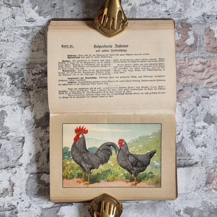 Kramer, Rudolf. Kramers Taschenbuch der Rassegeflügelzucht – Bild 10