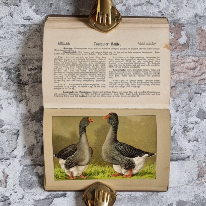 Kramer, Rudolf. Kramers Taschenbuch der Rassegeflügelzucht – Bild 11