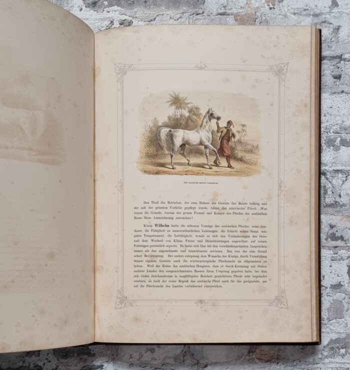 Schmidt, Friedrich von (Hrsg.). König Wilhelm von Württemberg in seinen ländlichen Beschäftigungen. – Bild 2