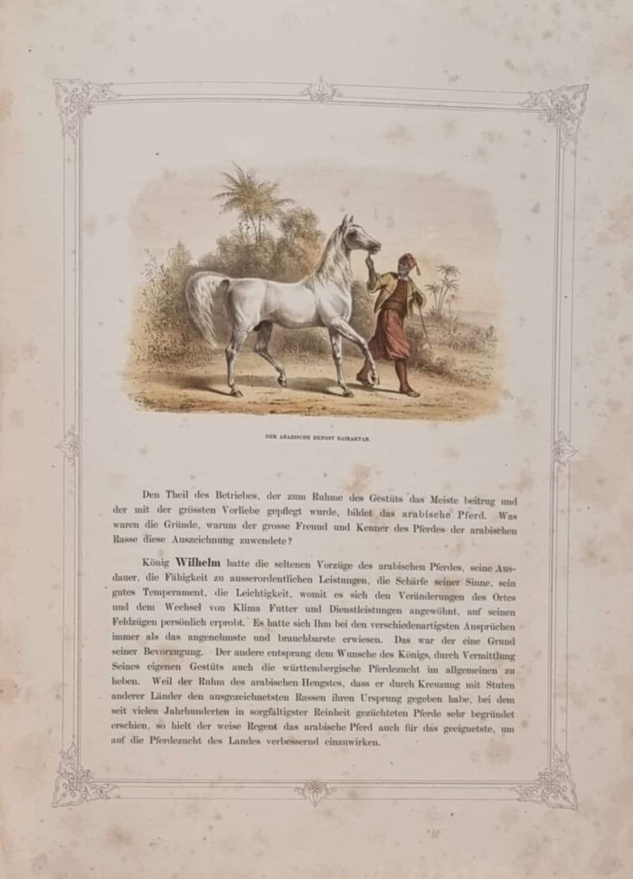 Schmidt, Friedrich von (Hrsg.). König Wilhelm von Württemberg in seinen ländlichen Beschäftigungen. – Bild 3