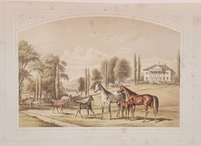 Schmidt, Friedrich von (Hrsg.). König Wilhelm von Württemberg in seinen ländlichen Beschäftigungen. – Bild 5