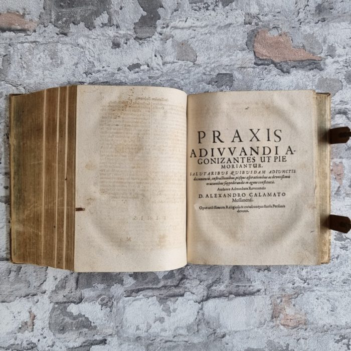 Calamato, Alessandro. Nova Sylva Conceptuum Fundatorum In Autoritate Sacrae Scripturae, Et SS. Patrum, Et Aliorum Gravissimorum Ecclesiae Doctorum. – Bild 12