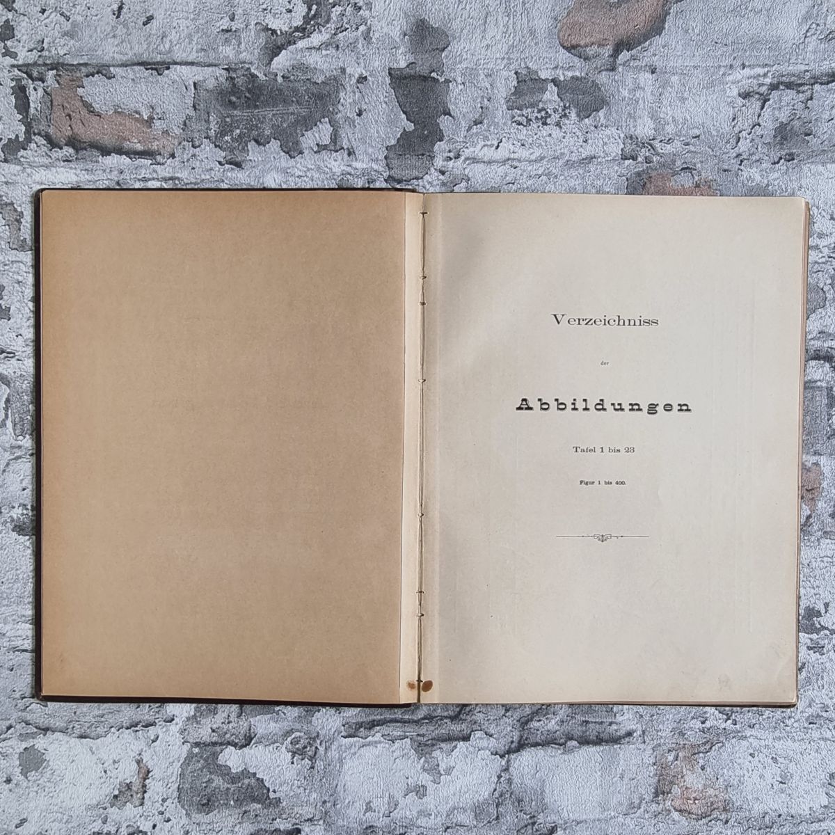 34431-018-schmidt-waffenkunde-infanterie-1891-tafeln-titel Schmidt, Rudolf. Allgemeine Waffenkunde für Infanterie (UND) Tafelband (UND) Neue Folge von 1891. – Bild 19