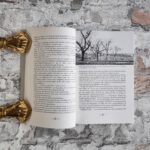 Festschrift zum 100jährigen Bestehen des Landesverbandes für Obstbau, Garten und Landschaft Baden-Württemberg e. V. – Bild 3