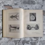 Holme, Charles (Hrsg.). Modern Design in Jewellery and Fans. – Bild 6