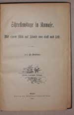 Steiner, P. Schreckenstage in Kumase. – Bild 3