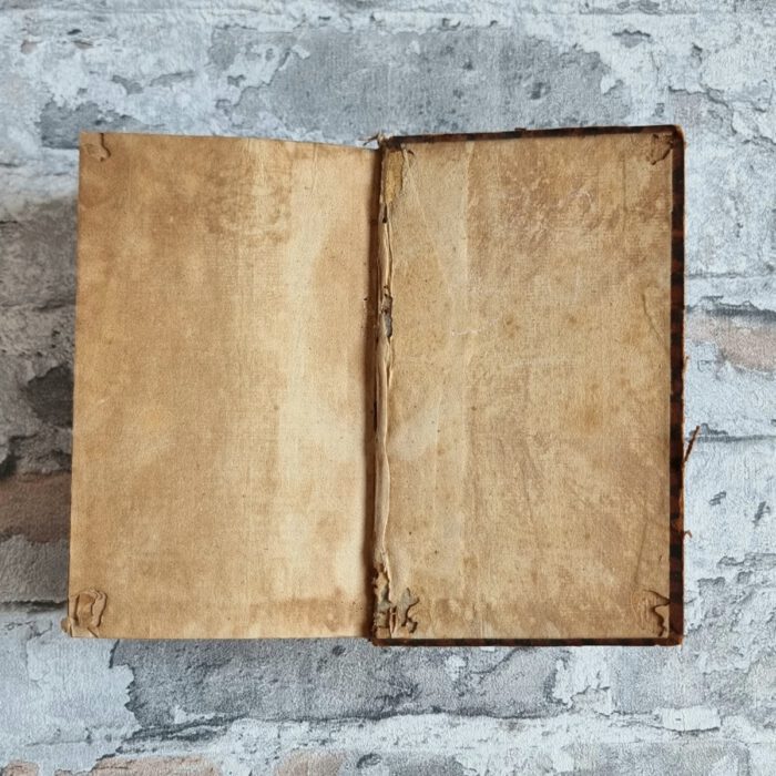 Ettori, Camillo. Heilige Einöde in welcher binnen Acht oder zehen Tägen Durch Betrachtung der ewigen Wahrheiten / und Grundsätzen unsers Glauben Nach Anweisung der Geistl. Ubungen Des H. Ignatii de Lojola Das Heyl der Seelen Höchst nutzlich kan befördert werden / Erstlich Vor alle / so wohl Geistliche als Weltliche beschrieben in Wällischer Sprach Von Camillo Hectoreo Soc. Jesu, und schon zum siebendenmal gedruckt / Nachmahls ins Lateinische übersetzet durch Henricum Heinsberg ex eadem Soc. Nun aber absonderlich Vor jene / welche in vorigen Sprachen unerfahren / so viel sie brauchen / auch in Teutscher Sprach an Tag gegeben / wiederum durch Einen Priester aus gemeldter Soc. Jesu. (4 Teile in einem Band). – Bild 5