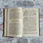 Binz, Pantaleon. Theoretisch-practische Geburtshülfe für die Haussäugethiere, – Bild 6