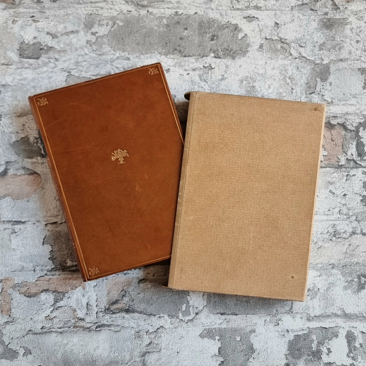 35805-01-avalun-stifter-nachkommenschaften-einband-schuber Stifter, Adalbert. Nachkommenschaften. – Bild 1