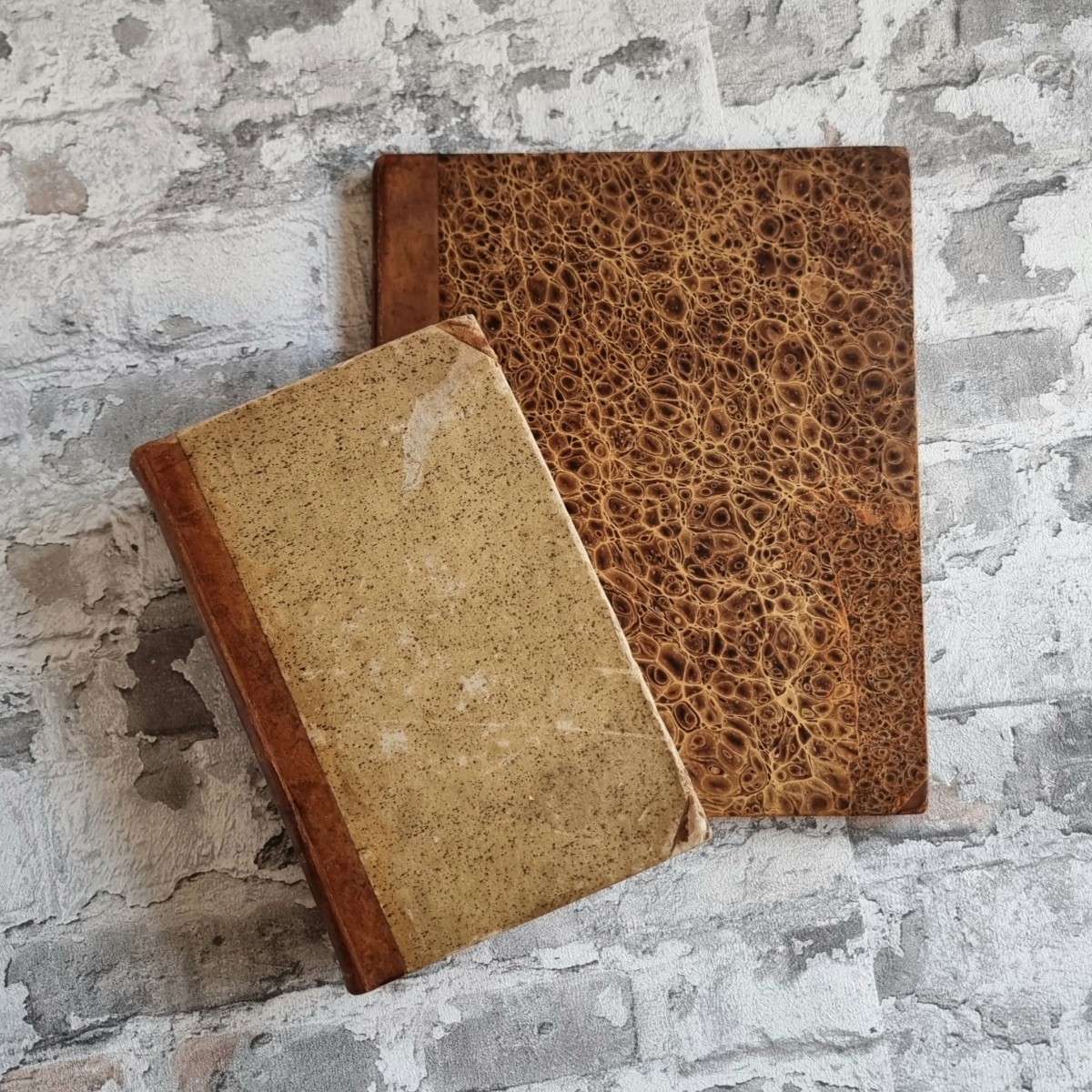 35806-01-carus-zootomie-lehrbuch-tafelband-1818 Carus, Carl Gustav. Lehrbuch der Zootomie. – Bild 1