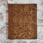 Carus, Carl Gustav. Lehrbuch der Zootomie. – Bild 18