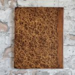 Carus, Carl Gustav. Lehrbuch der Zootomie. – Bild 21