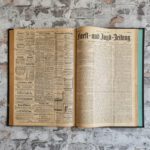 Hempel, Ernst Gustav (Redaktion). Oesterreichische Forst-Zeitung. – Bild 8