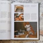 Gmelin, Marlene und Detlef Schmelz. Marionetten. – Bild 4