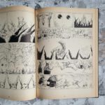 Druillet, Philippe. Bizarr. – Bild 4