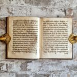 Meisner, Leonard Ferdinand (Praes.) / Cassinis de Bugella, Josephus (Resp.). Athanasia Longevitatis, sive Manuductio ad vitam longiorem quam Dissertatione inaugurali Medica sub ..... – Bild 4