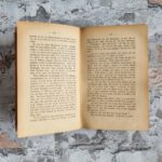 Armand (d. i. Fredéric Armand Strubberg). An der Indianer-Grenze oder Treuer Liebe Lohn. Band 1 und 2. – Bild 3