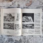Hoffmann, Ot und Christoph Repenthin. Neue urbane Wohnformen. – Bild 5