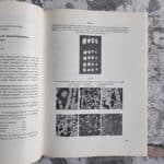 Festschrift Jakob Büchi zu seinem 60. Geburtstag am 25. Juli 1963. – Bild 6
